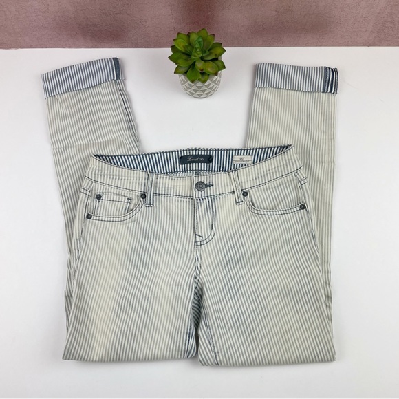 Level 99 Lily Skinny Straight Stripe Denim Jeans Women Size 26 - Picture 1 of 9